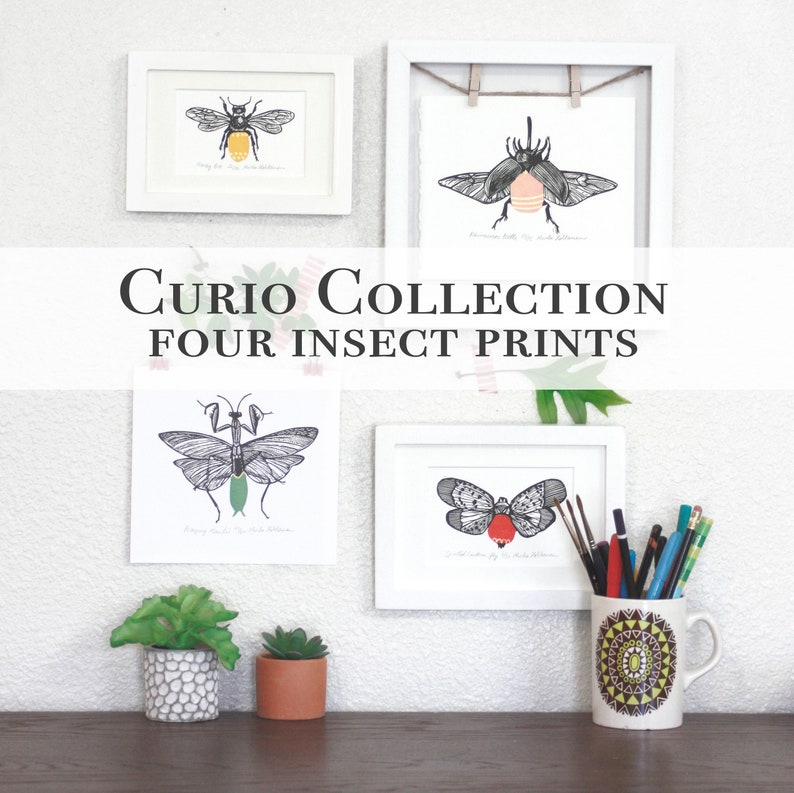 Moth Lino Cut Original Linoleum Print Insect Print Botanical Print Beetle Print Bug Linocut Insect Wall art image 4