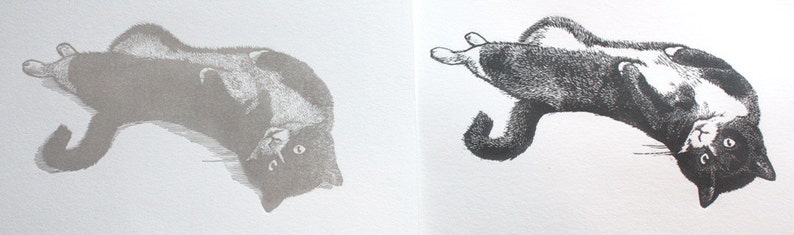 May include: A black and white cat is lying on its back with its paws in the air. The cat has a white patch on its chest and a white stripe on its face.