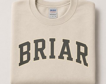 Könnte beinhalten: Ein sandfarbenes Sweatshirt mit Rundhalsausschnitt und dem Wort BRIAR in einer dunkelgrauen, bogenförmigen Schrift im College-Stil auf der Brust. Das Kleidungsstück hat ein Gildan Heavy Blend Etikett am Innenkragen, das die Größe L angibt.