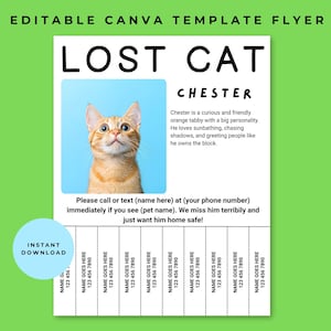 May include: A flyer template with the text "LOST CAT" and a photo of an orange tabby cat named Chester. The flyer includes a call to action to contact the owner if the cat is found, with tear-off tabs for contact information.