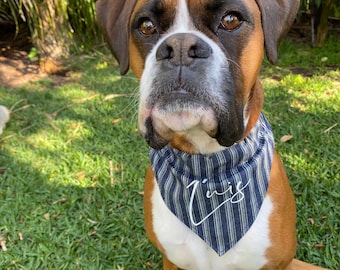 Dog Bandana & Collar