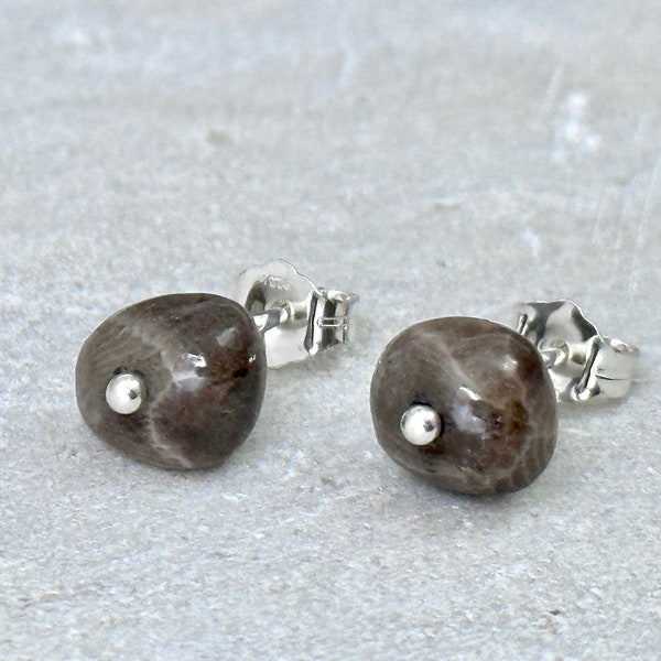 Petoskey Stone Earring |  Stud Post Ear Ring Jewelry | Michigan Gift Beach Stone Small Size Sterling Silver