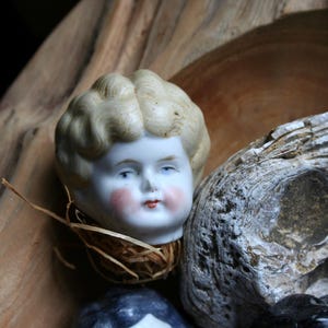 May include: A vintage porcelain doll head with blonde, curly hair, rosy cheeks, and blue eyes. The doll head is surrounded by a nest of straw and rests near a piece of weathered wood and a rock.