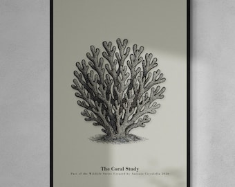 May include: Black framed art print featuring a detailed illustration of coral. The artwork, titled "The Coral Study," is part of the Wildlife Series. The coral is depicted in a detailed, grayscale style against a neutral background.