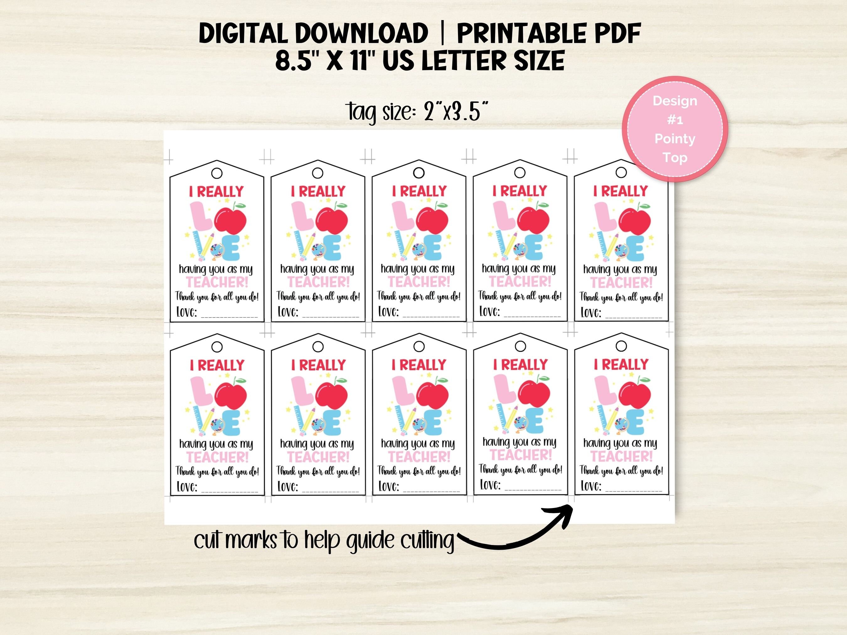 Printable Teacher Appreciation Day Gift Tag, Thank You Gift Tag ...