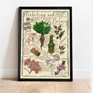Herbology and Botany Artistic Digital Print