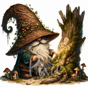 Magical Gnome Clipart | Set of 10 High Quality 300DPI JPEG | Elderwood Sage Gnome for Scrapbook, Junk Journal, Paper Crafts, Sublimation