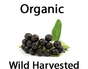 Maqui Seeds - 15 Organic Wild Harvested Maqui / Chilean Wineberry (Aristotelia Chilensis) Seeds