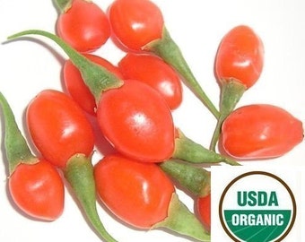 Red Goji Berry Seeds - 1000 Organic Himalayan Wolfberry (Lycium Barbarum) 40+ Pods (In Pod Seeds)