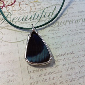 Butterfly Wing Charm Soldered Glass Pendant Specimen Jewelry image 5