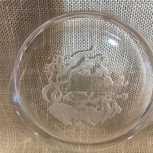 May include: A clear glass plate with an etched underwater scene featuring fish, coral, and aquatic plants. The plate has a rounded shape and a smooth, transparent surface, perfect for serving appetizers or desserts.