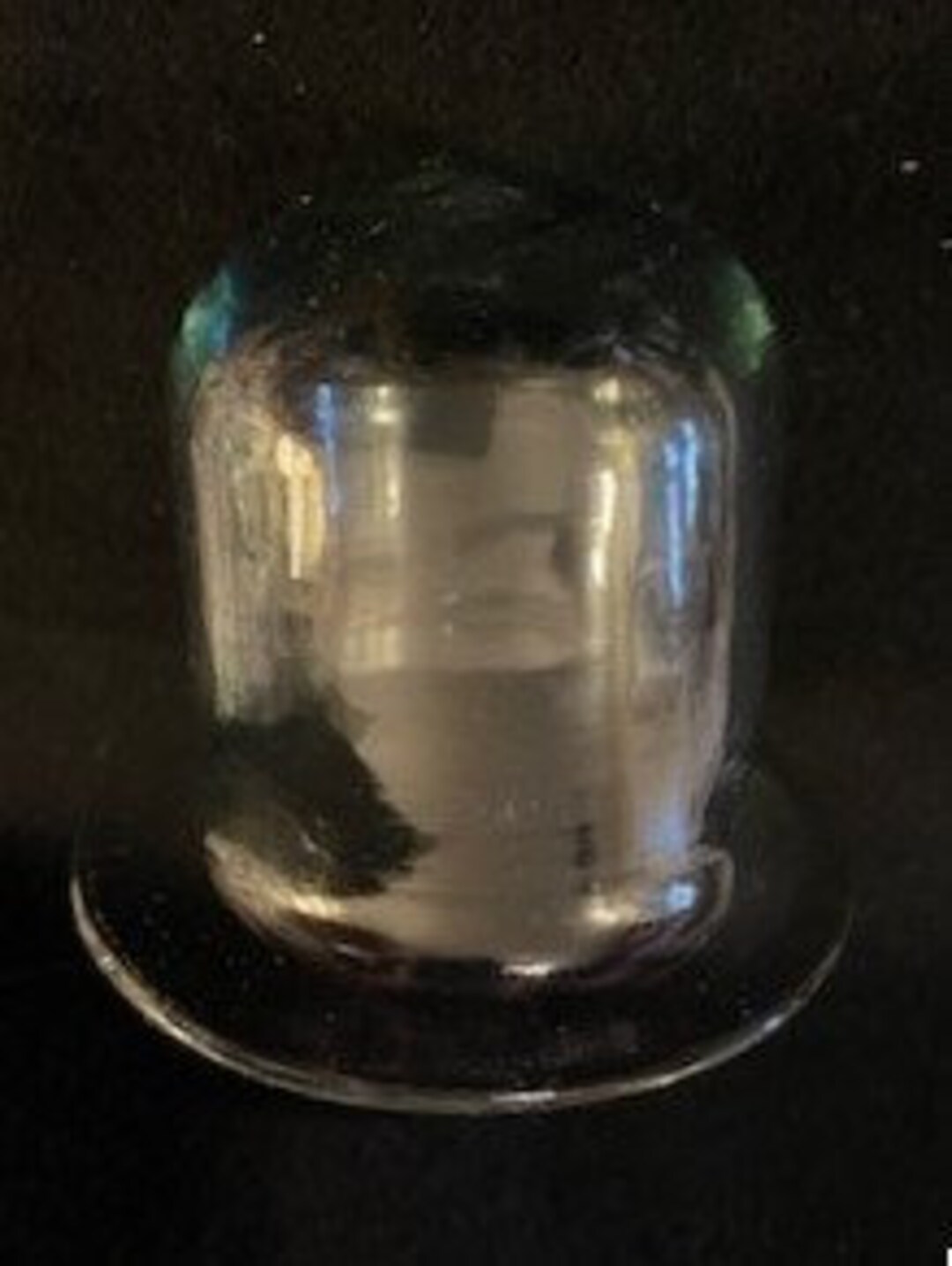 Vintage Glass Cloche Hand Blown Glass Plant Cover Vintage Gardening