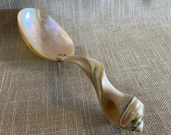 Mother of Pearl Large Shell Handled Caviar Server Spoon