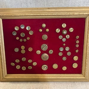 May include: A collection of various circular brass and metallic buttons arranged on a deep red velvet backing within a rectangular gold-toned frame. The buttons feature diverse embossed patterns, textures, and sizes, displayed in a grid-like layout.