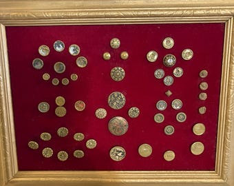 52 Vintage Buttons from Late 1800’s to 1920’s - Framed on Velvet