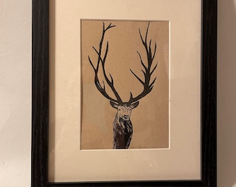 Original Pen and Ink Framed Drawing of A Deer