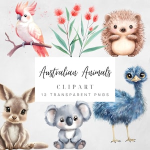 Australisches Tier Clipart Designs | 12 Einzigartige Cliparts mit Kängurus, Emus, Koalas & Kookaburras