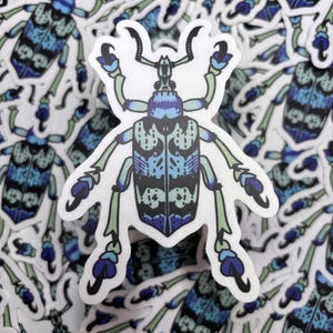 Sticker | Blue Weevil