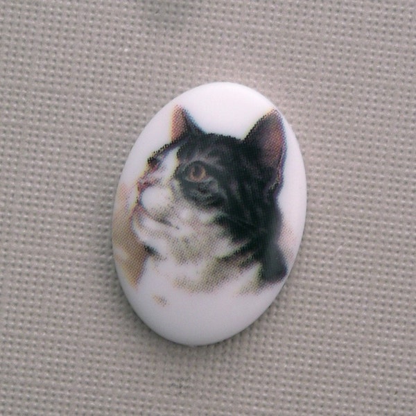 1 Plastic Cat Cameo Cabochon 18x13mm Style 4 (1) IC004