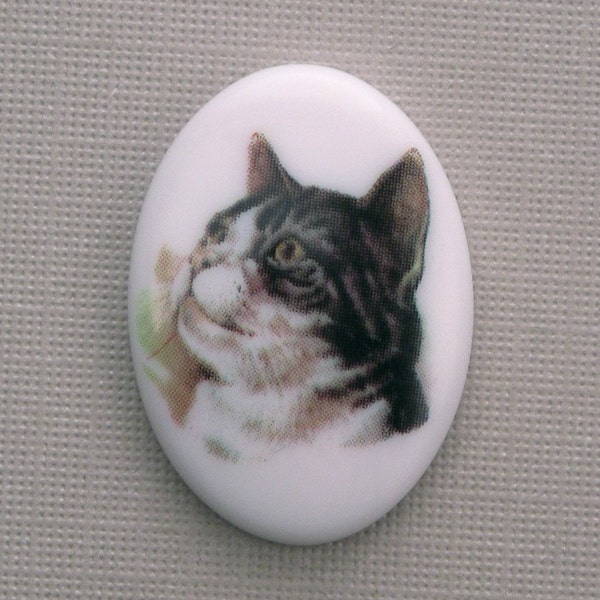 Plastic Cat Cameo 25x18mm Cat Cabochon Style 4 (1) IC009