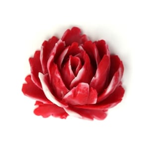 Resin Flower Cabochons Rose Large Matte Red and White 35mm (2) PC241