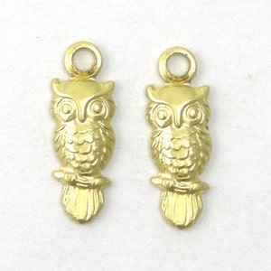 May include: Two gold-colored owl charms with a loop at the top for attaching to jewelry or other crafts.