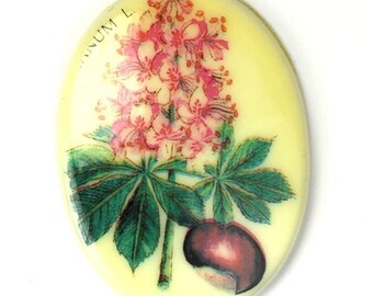 Vintage Cameo Cabochon Plastic 40x30mm Botanische Roze Bloemen (1) VIC308