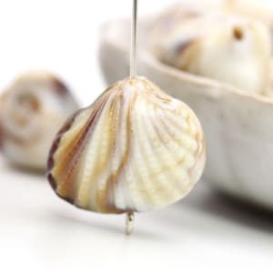 Acryl Schelpschelpkralen Gemarmerd Bruin Geelbruin Beige Neutraal 21 mm Geribbeld (10) PB124