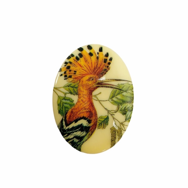 Vintage West German Plastic Cabochon Hoopoe 40x30 Bird Style 6 Flat Back Limoges Illustrated Wild Life Jewelry Supplies VPC114