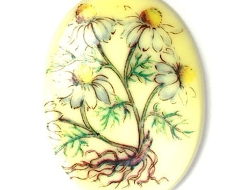 Vintage Cameo Cabochon Plastic 40x30mm Botanical Daisy Flower and Roots (1) VIC307