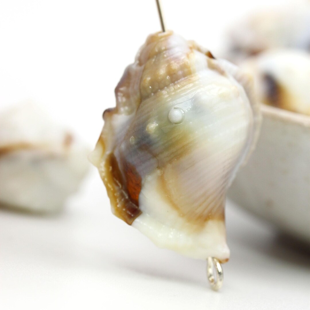 Acrylic Sea Shell Beads Marbled Brown Tan Beige Neutrals 28mm Realistic ...