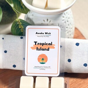 Summer Soy Wax Melts | Tropical Fruit & Floral Scent | Handmade, Long-Lasting, Relaxing, Mood-Boosting Home Fragrance