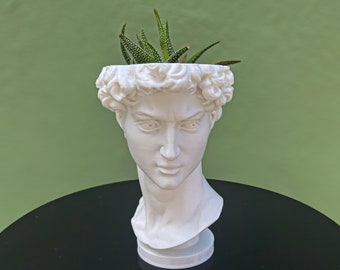 Famous David Statue Head Planter