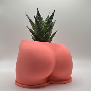 Pink Butt-Shaped Indoor Planter - Spaß und einzigartiges Design für 6,3 cm - 3 cm Zimmerpflanzen!