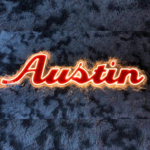 Austin Texas Neon Sign, Austin LED Sign, Texas Neon Sign, Gift for Boyfriend, Animal Wall Art, Wall Decor, Living Room Decor, Gift for Texan