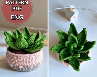 Crochet Succulent haworthia & Pot Plant Pattern, Potted Flower Crochet PDF, Amigurumi Succulent DIY, Flowered Crochet Decor