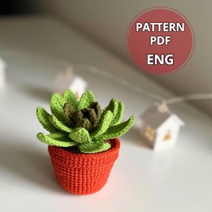 Fiori in vaso all'uncinetto, Echeveria succulenta all'uncinetto e modello di pianta in vaso, Amigurumi succulenta fai da te, Decorazione all'uncinetto fiorita, bouquet all'uncinetto