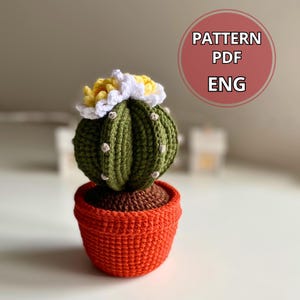 Kaktus Häkelanleitung, Amigurumi Sukkulenten Pflanze PDF, Blühender Kaktus DIY, Topfpflanzen Dekor, gehäkelte Blumensträuße