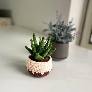 May include: A crocheted succulent plant in a brown and cream pot. The plant has green leaves and is sitting on a white surface.
