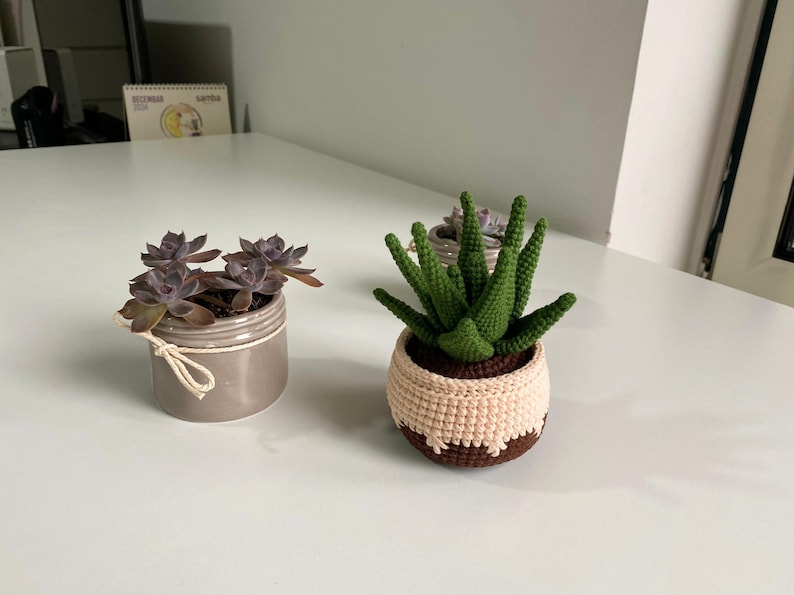 May include: Three crocheted succulent plants in pots. The plants are green and brown. The pots are gray, brown, and beige.