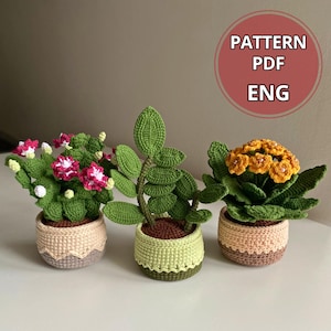 Può includere: Tre piante in vaso realizzate all'uncinetto con una sovrapposizione di testo PDF pattern. La pianta a sinistra ha fiori rosa e bianchi, quella centrale foglie verdi e quella a destra fiori gialli con piccole perline in vasi testurizzati.