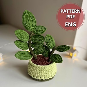Zimmerpflanzen hkeln - Etsy.de