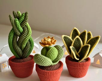 かぎ針編みの多肉植物とサボテン12点セット、鉢植えの花のかぎ針編み