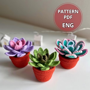 PDF di fiori in vaso all'uncinetto, modello di piante grasse e piante in vaso all'uncinetto, succulente amigurumi fai da te, decorazioni floreali all'uncinetto, set Echeveria 3 in 1