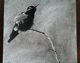 Hand drawn charcoal drawing of bird