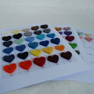 Pedido personalizado - carta de colores de fieltro