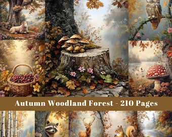May include: A collage of autumn woodland forest scenes. The top left image shows a white sheep in a forest with autumn foliage. The top right image shows an owl perched on a branch. The centre image shows a tree stump with mushrooms growing on it. The bottom left image shows a basket of red berries. The bottom centre image shows a raccoon peeking out from behind a tree. The bottom right image shows a deer standing in a forest clearing. The text "Autumn Woodland Forest - 210 Pages" is displayed at the bottom of the collage.