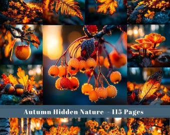 Autumn Junk Journal Pages: Fall Ephemera, Scrapbook Paper (Digital Download