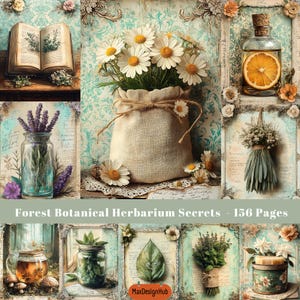 Botanisch afvaldagboek, bosherbarium, ephemera, plakboekpapier, natuurillustratie, papierkunst, kruiden, groen, rustieke afbeelding