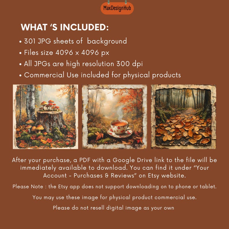 May include: A digital download of 301 high-resolution JPG images of autumn forest scenes. The images are 4096 x 4096 pixels and 300 dpi. They are perfect for creating digital or physical products.